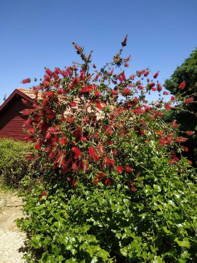 Cabin In The View Hararit Exterior foto